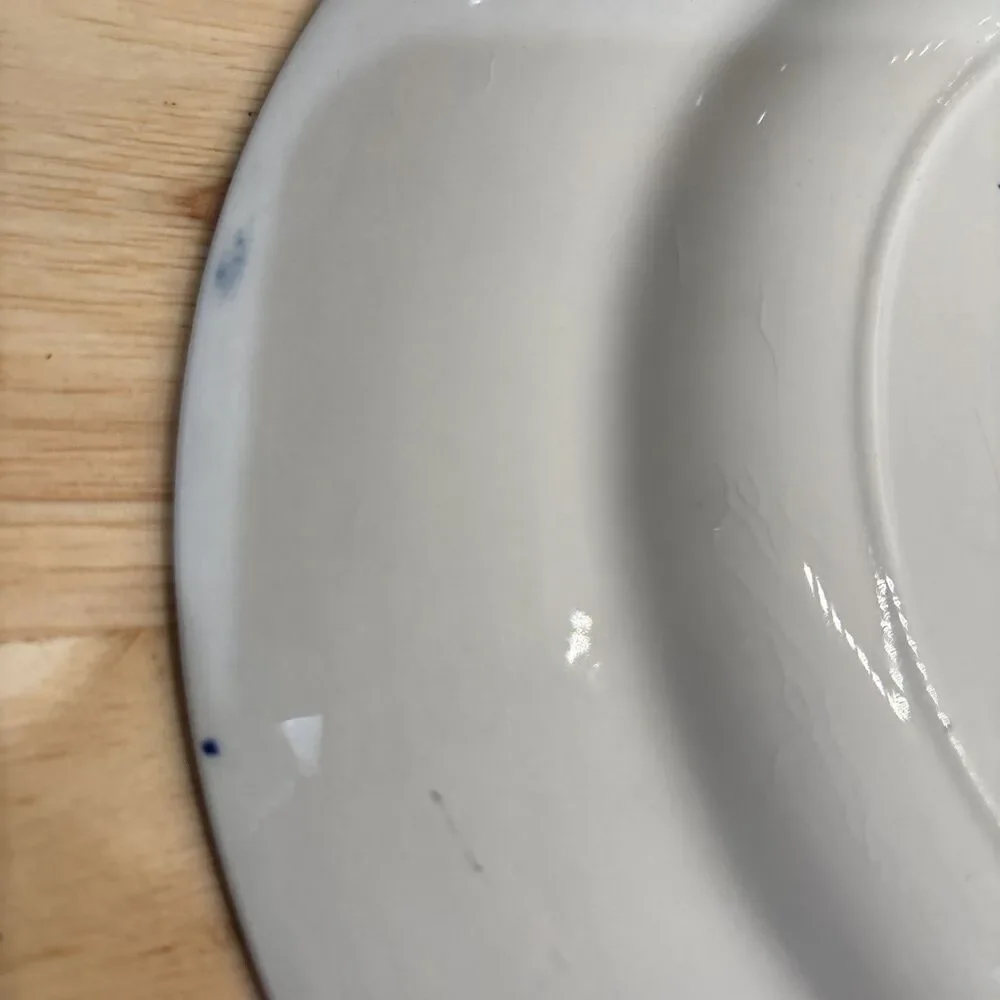 Vintage Rocky Mtn Nat’l Park Fine Straffordshire Ware Blue White Souvenir Plate